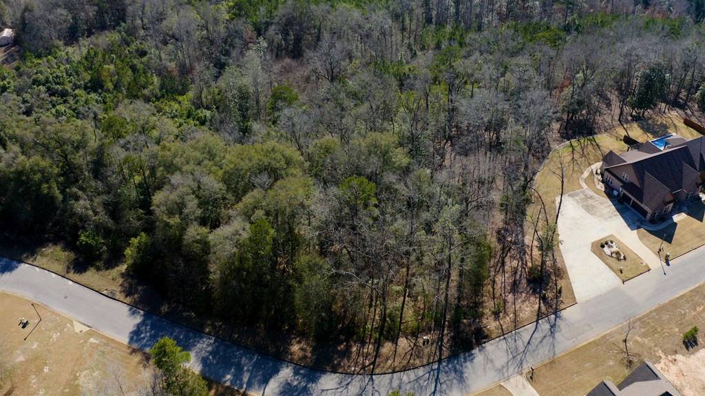 143 Old Village Road Ozark, AL 36360 - Photo 8 of 16