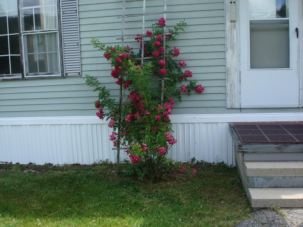 104 Stinson Lake Road Rumney, NH 03266 - Photo 8 of 20 Gallery Image 8