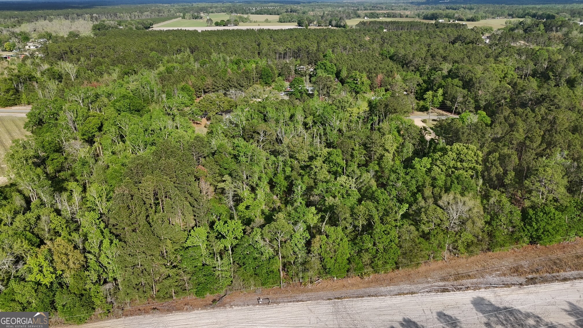 4 Spring Branch Road Baxley, GA 31513 - Photo 7 of 18