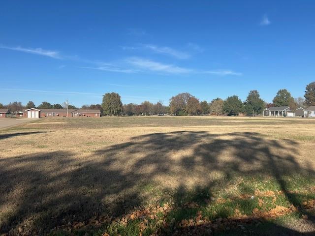 810 North Alice Street Parsons, KS 67357 - Photo 6 of 7