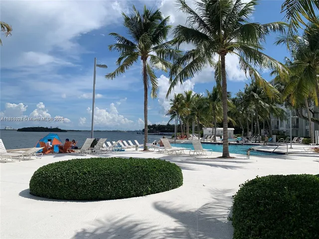 a view of a garden with plants