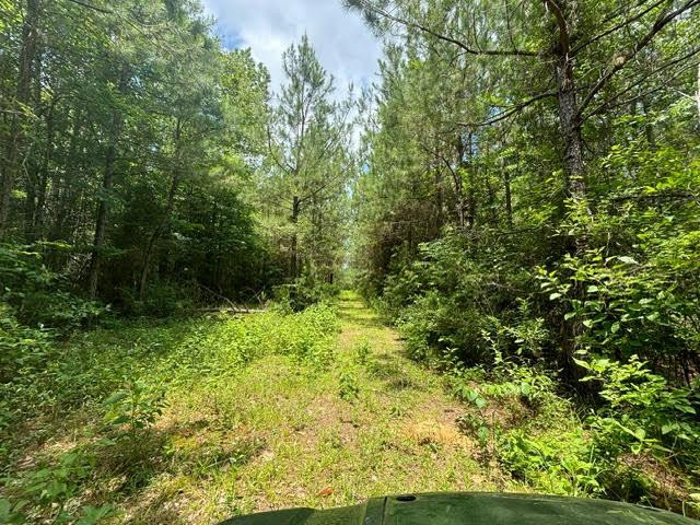 0 East Lewiston Road Kentwood, LA 70444 - Photo 21 of 26 Photo 22
