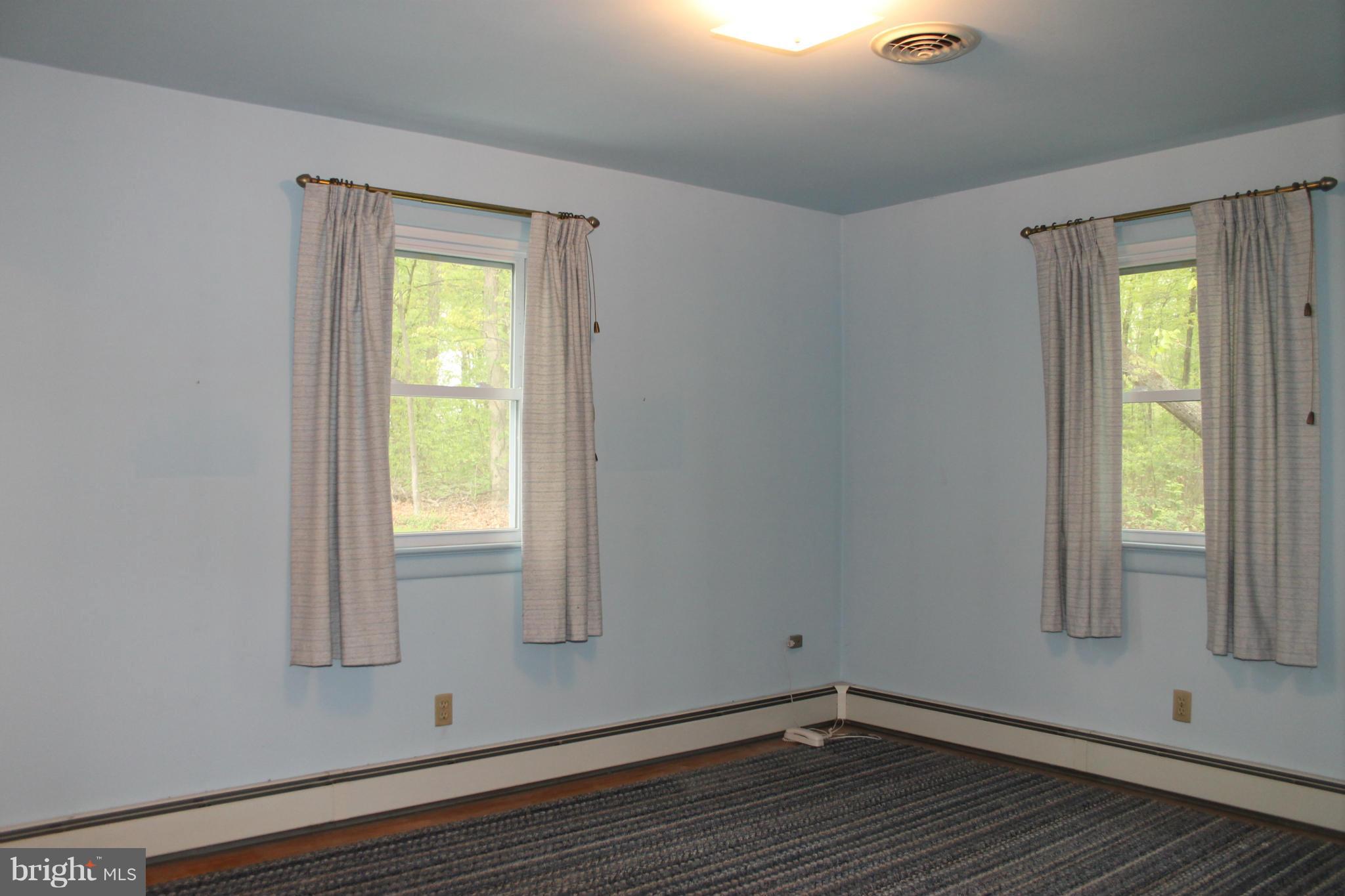 16116 Sheads Mountain Road Rixeyville, VA 22737 - Photo 11 of 26 Master Bedroom