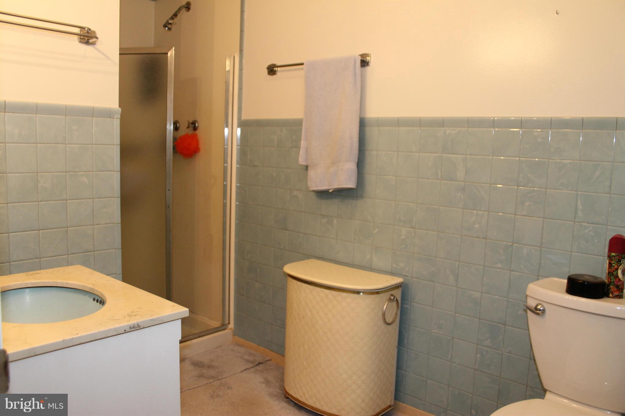 16116 Sheads Mountain Road Rixeyville, VA 22737 - Photo 14 of 26 Master Bathroom