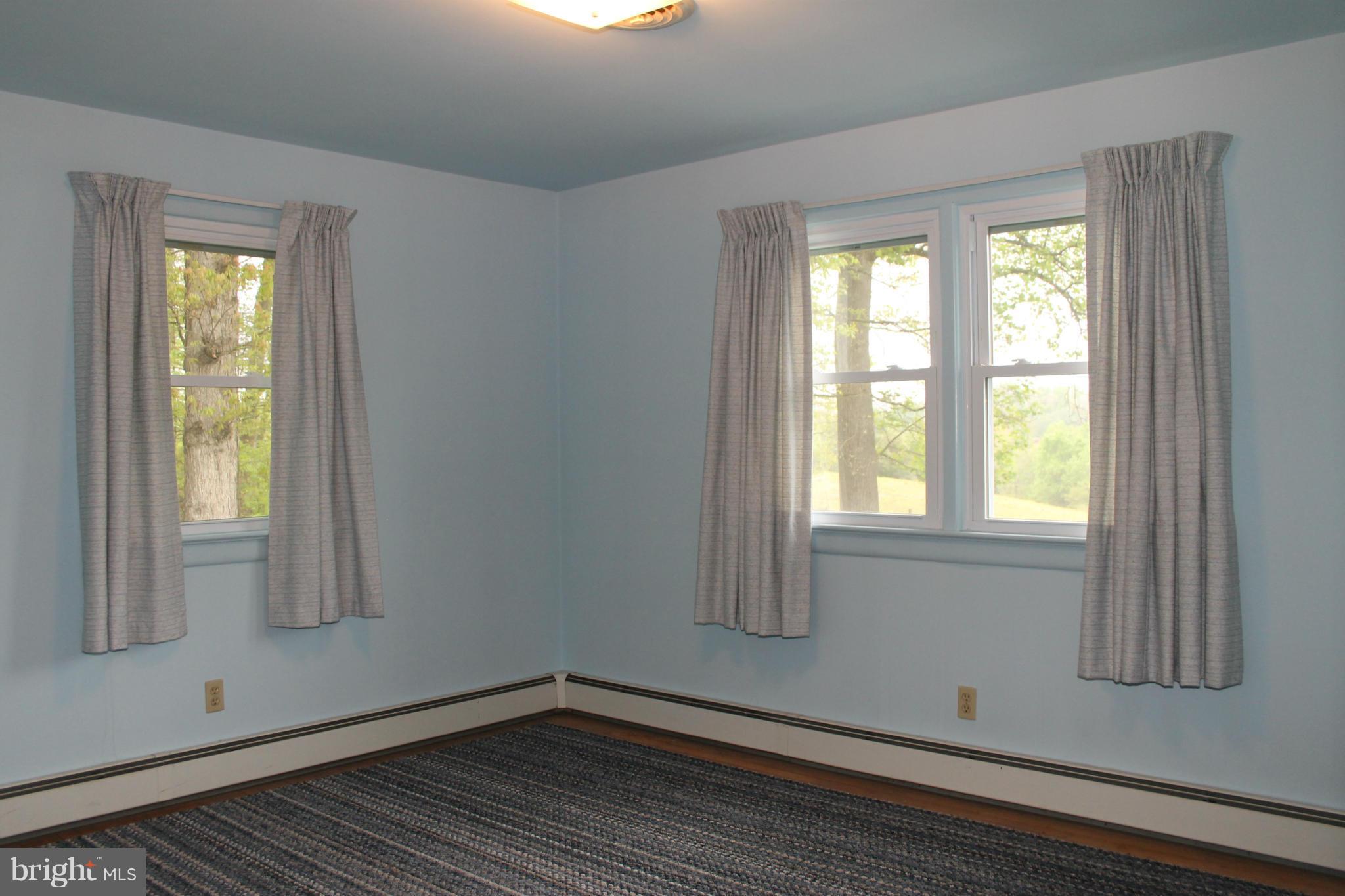 16116 Sheads Mountain Road Rixeyville, VA 22737 - Photo 15 of 26 Bedroom #3