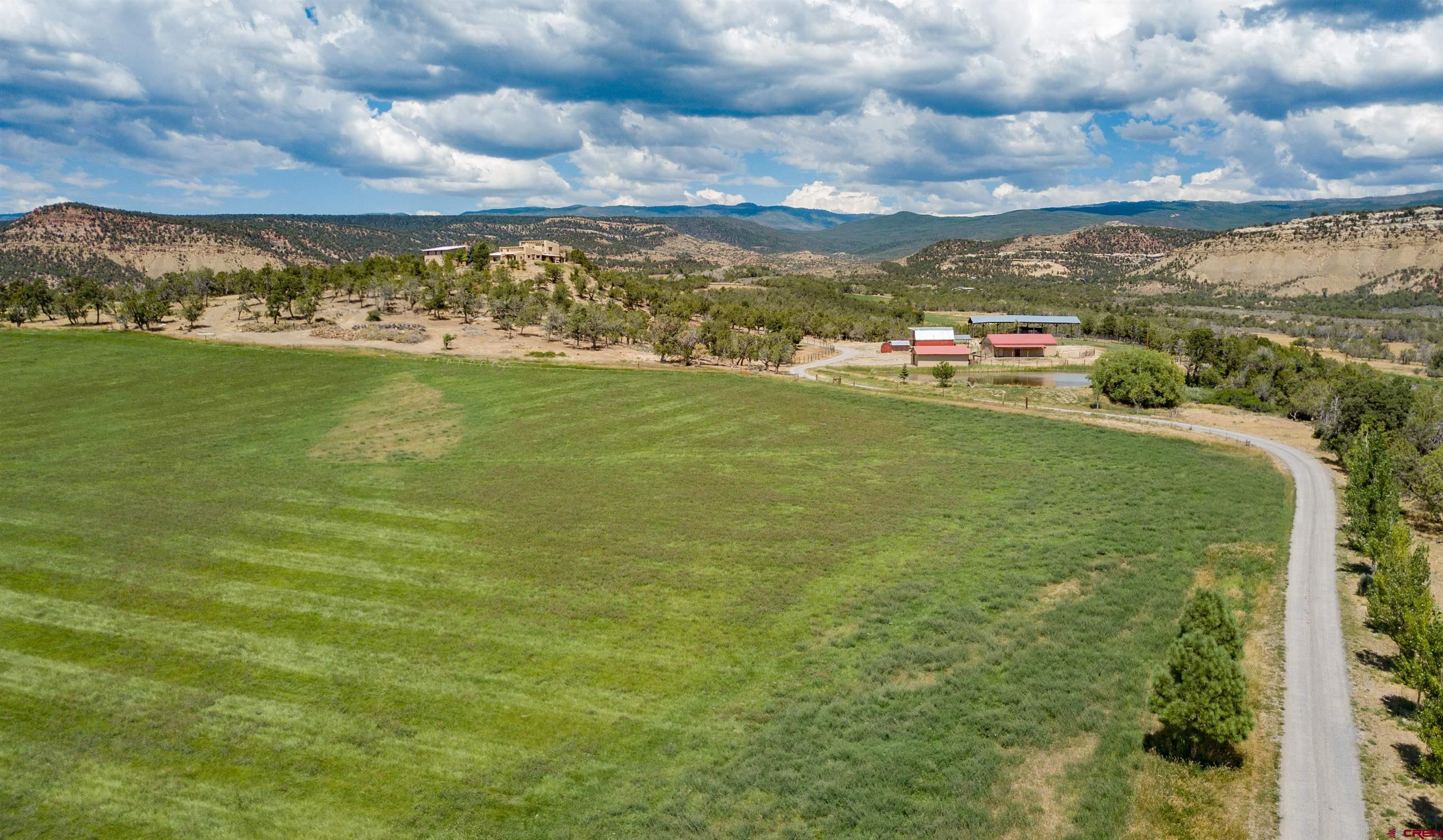 27067 Cactus Park Road Cedaredge, CO 81413 - Photo 33 of 35 Gallery Image 33