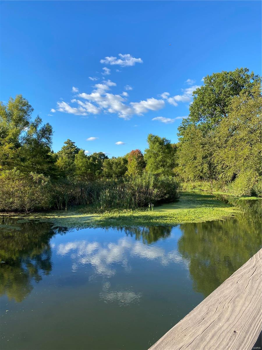 7520 Wydown Boulevard, Unit 2W Clayton, MO 63105 - Photo 27 of 29