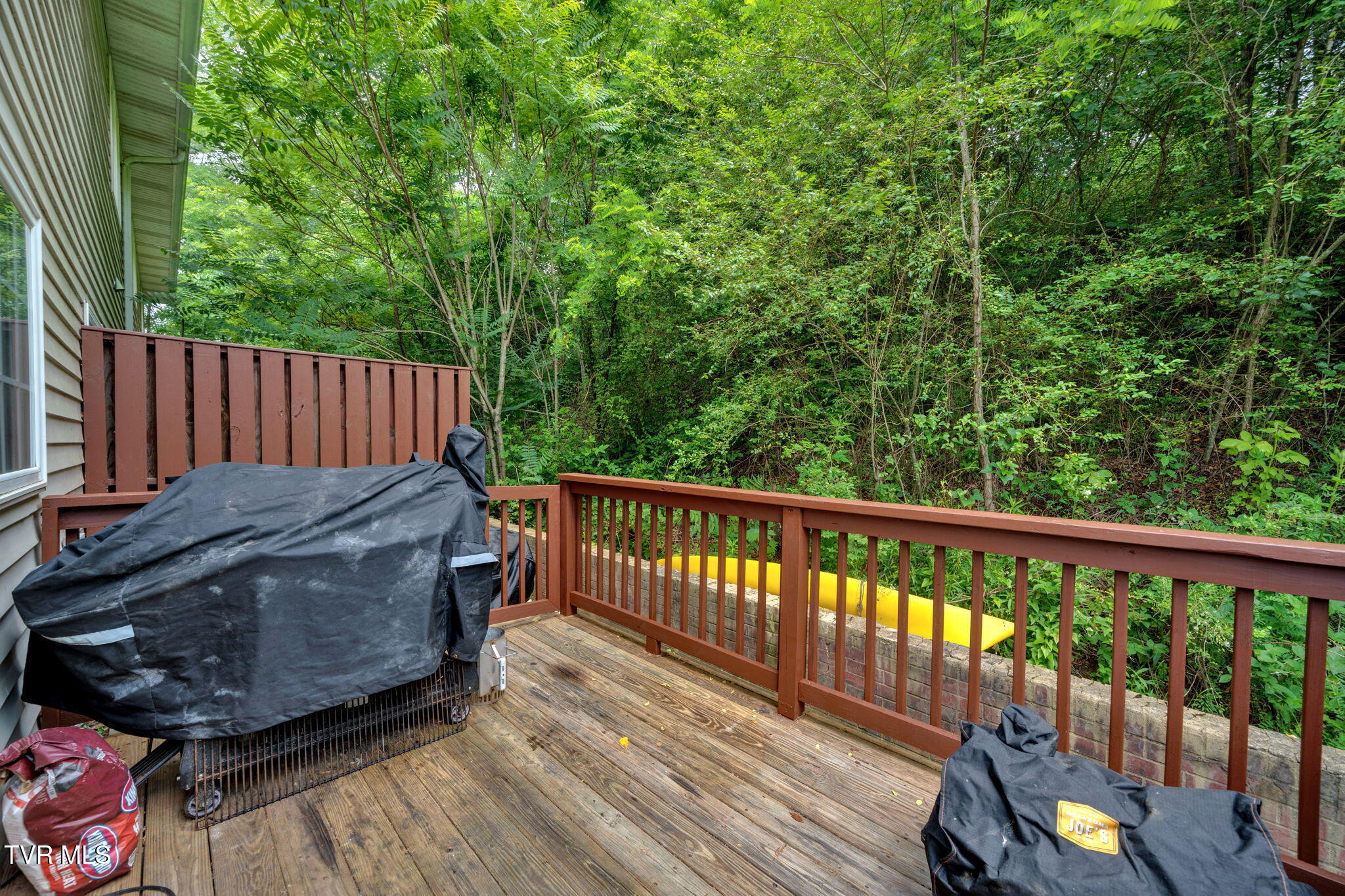 1102 Cherokee Road, Unit 1 Johnson City, TN 37604 - Photo 30 of 41 39-web-or-mls-DSC03352