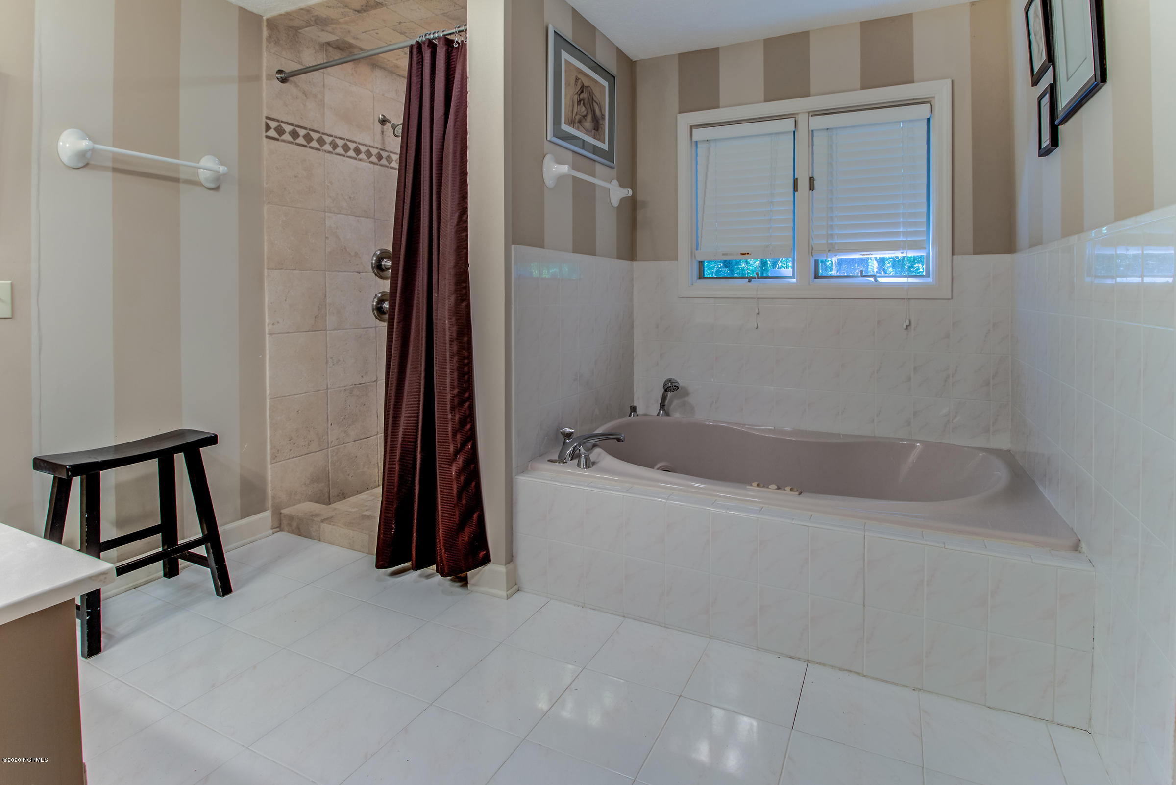 170 Goose Neck Road West Rocky Point, NC 28457 - Photo 23 of 46 Walk-in tiled shower and jacuzzi tub.