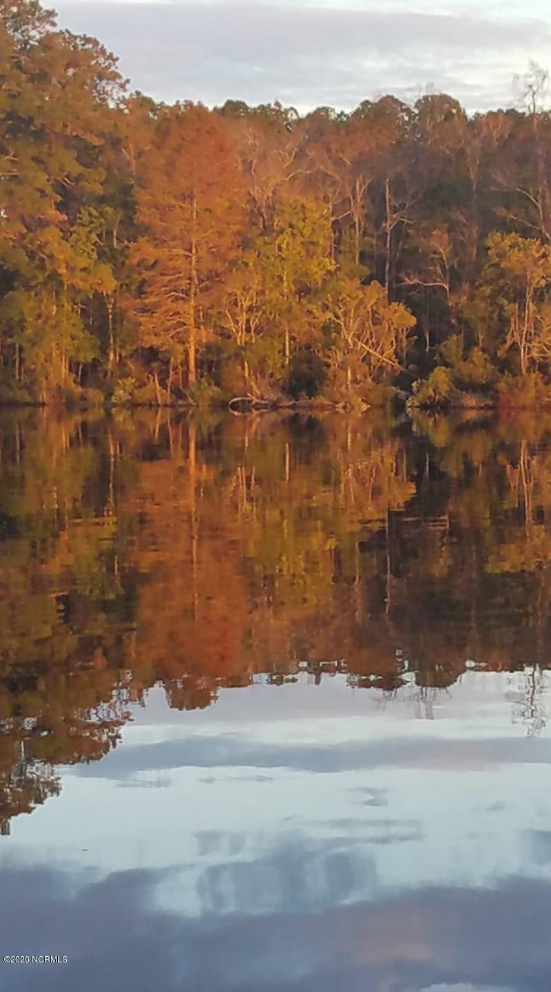 170 Goose Neck Road West Rocky Point, NC 28457 - Photo 40 of 46 View from the back porch in late October