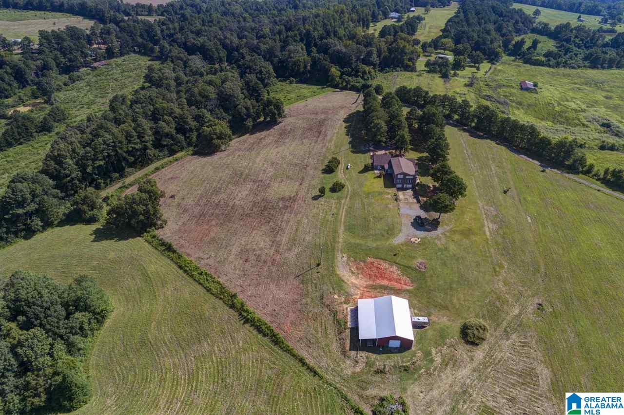 118 Runway Drive Hayden, AL 35079 - Photo 42 of 47