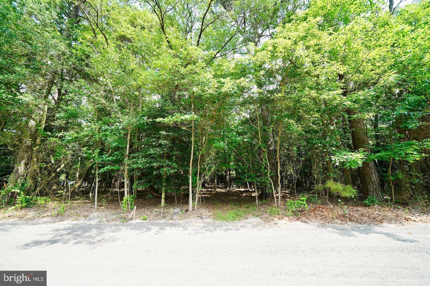 Lot 4 Mount Joy Road Millsboro, DE 19966 - Photo 3 of 8