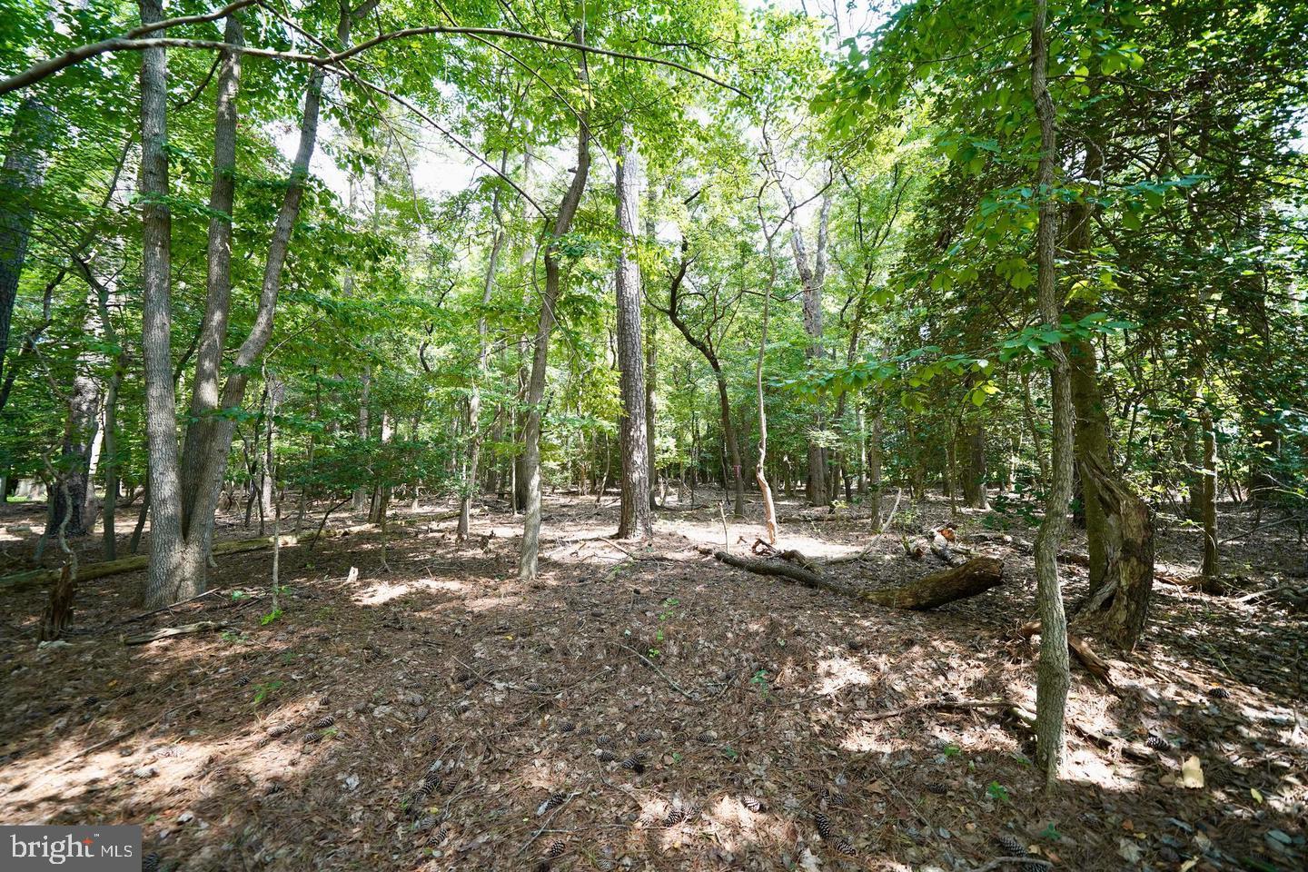 Lot 4 Mount Joy Road Millsboro, DE 19966 - Photo 4 of 8
