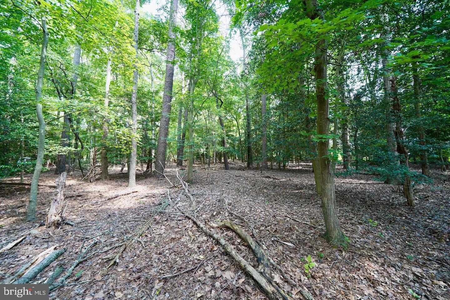 Lot 4 Mount Joy Road Millsboro, DE 19966 - Photo 5 of 8