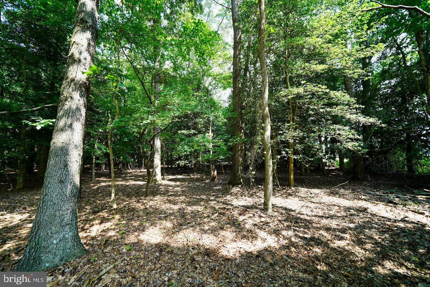 Lot 4 Mount Joy Road Millsboro, DE 19966 - Photo 6 of 8