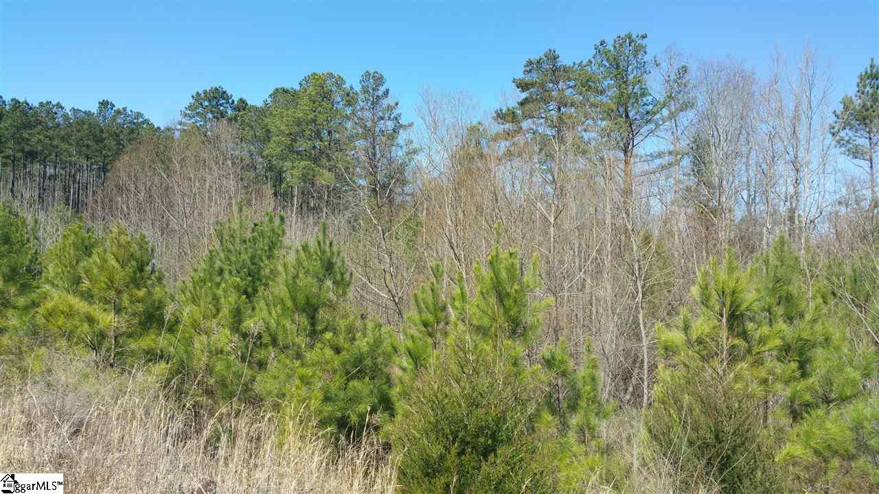 0 North Martintown Road Edgefield, SC 29824 - Photo 3 of 4