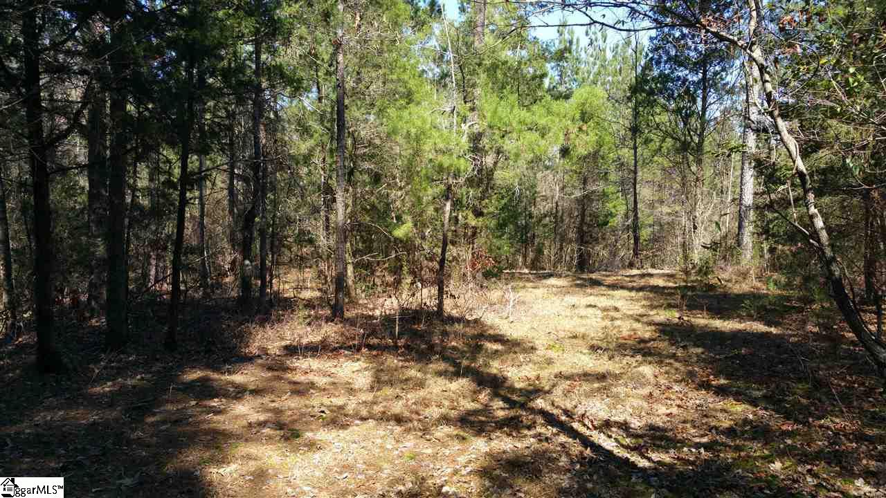 0 North Martintown Road Edgefield, SC 29824 - Photo 4 of 4