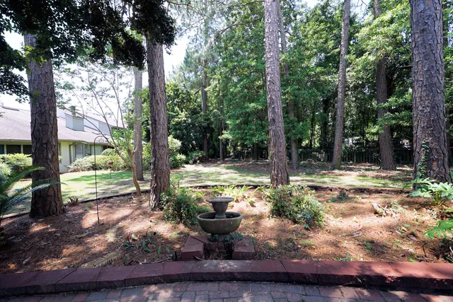 a backyard of a house with lots of green space