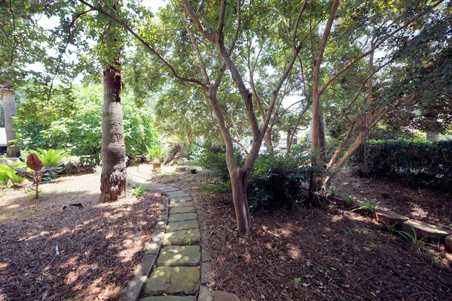 a view of a tree in front of a house