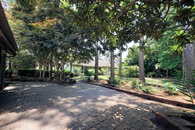 a view of a tree in the middle of a yard