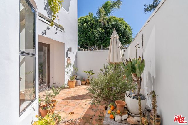 a potted plant sitting in front of a building