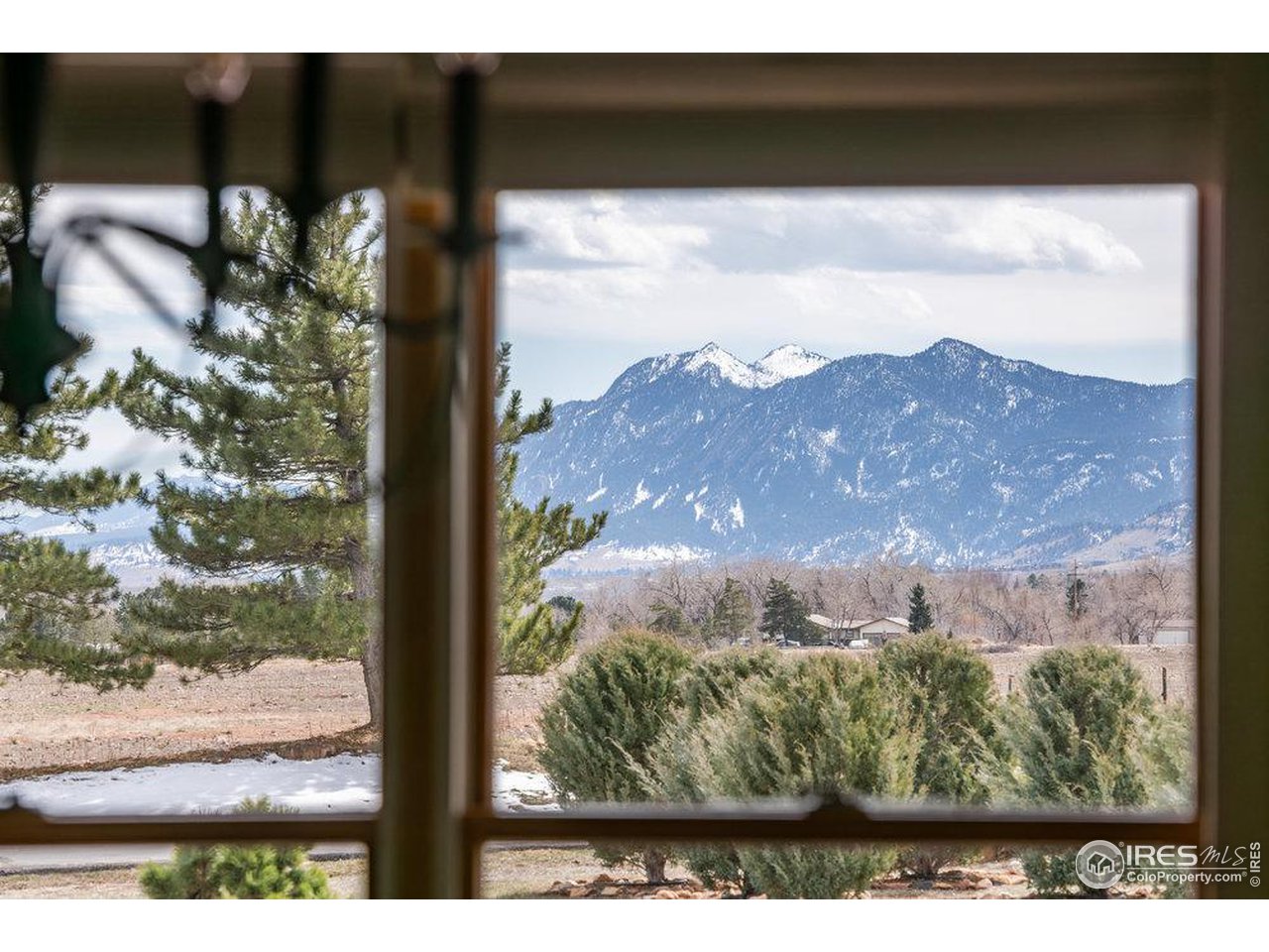 8923 Sage Valley Road Longmont, CO 80503 - Photo 17 of 40 a view of a garden