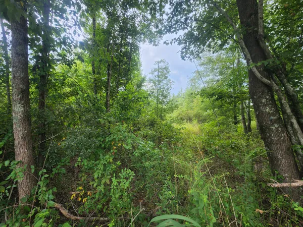 $25,000 | 1 Freedom Road, Branchville, SC 29432