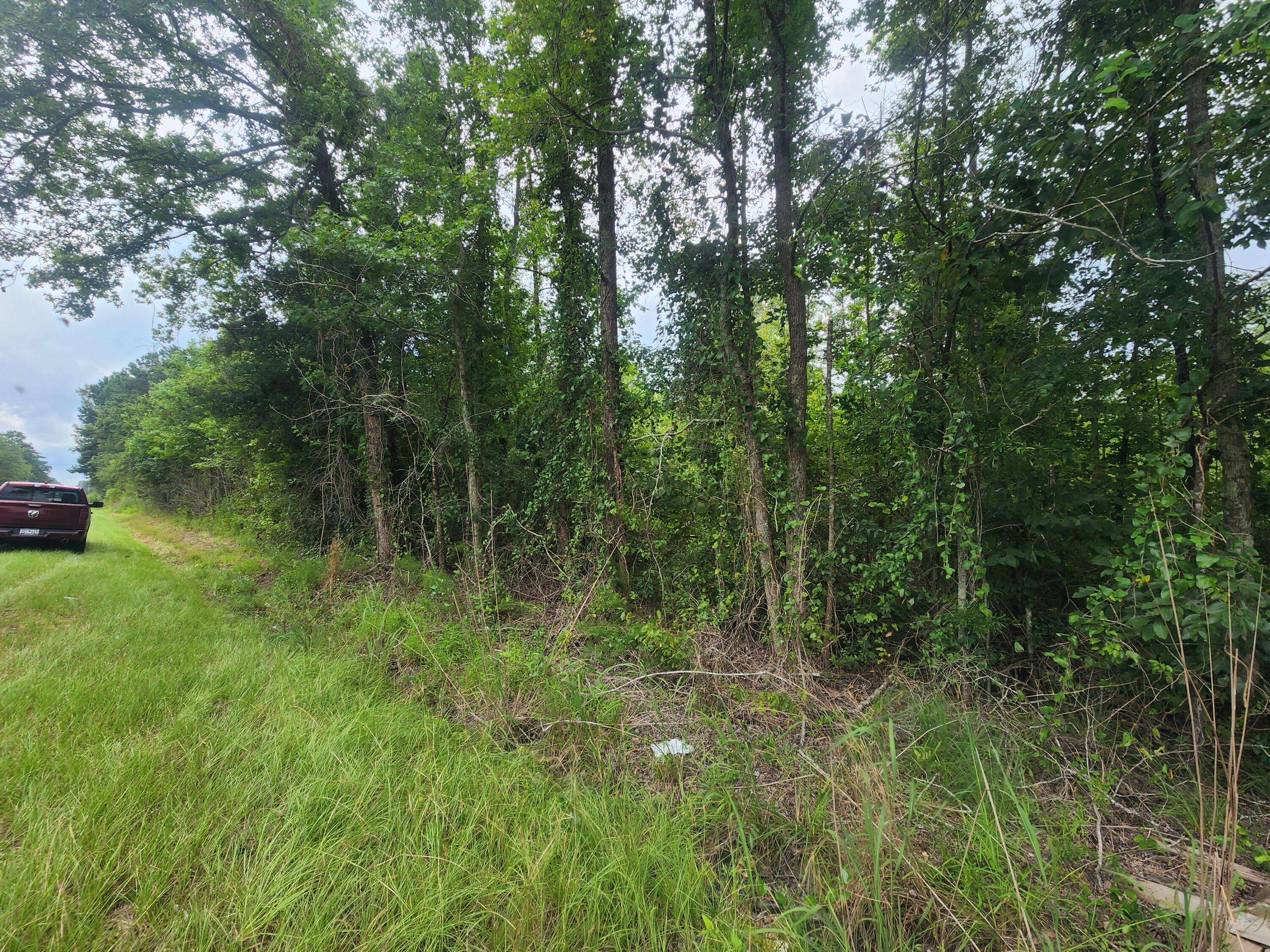 1 Freedom Road Branchville, SC 29432 - Photo 2 of 4 20220817_140022