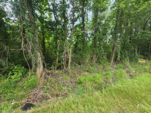 $25,000 | 1 Freedom Road, Branchville, SC 29432