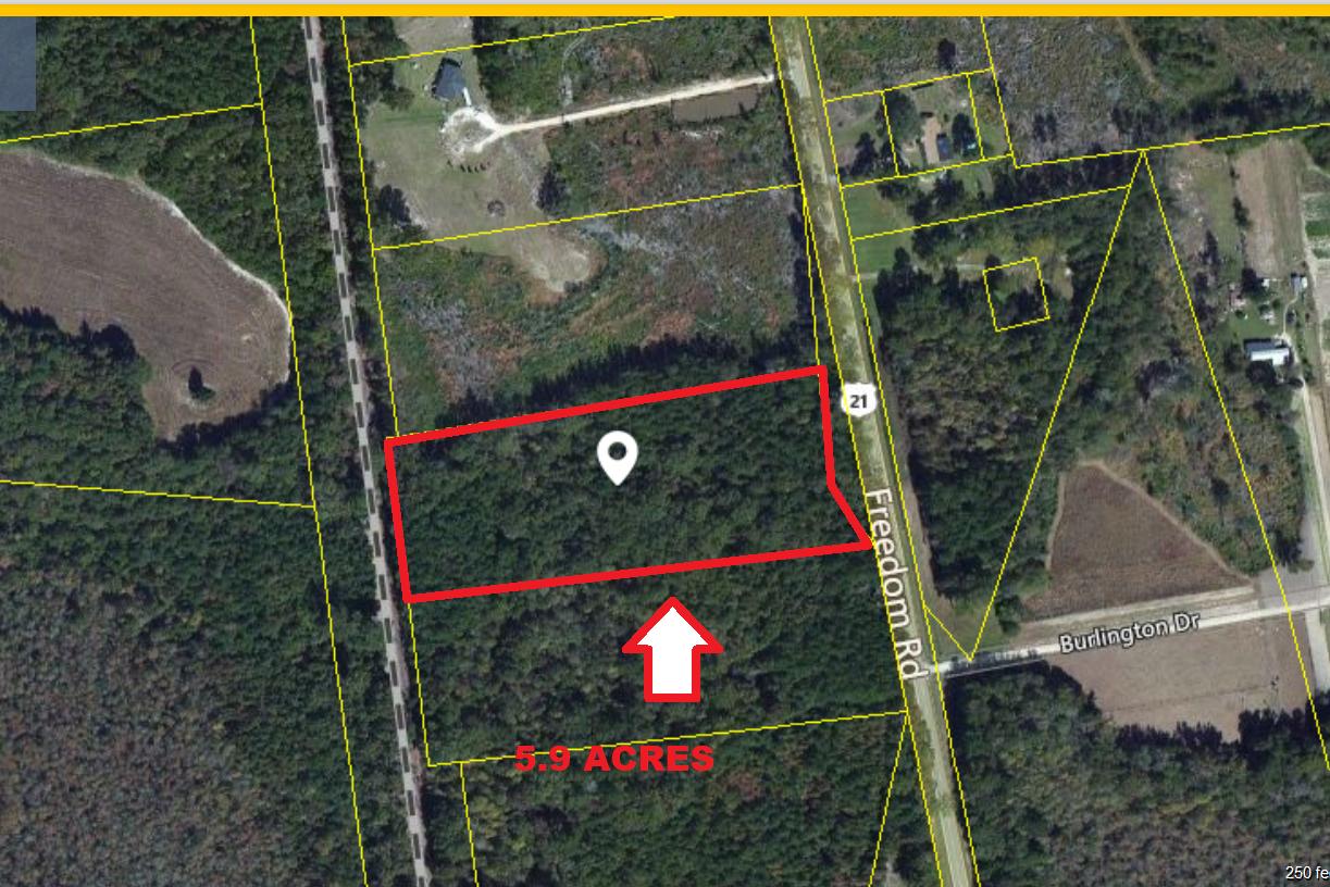 1 Freedom Road Branchville, SC 29432 - Photo 4 of 4 Freedom Rd