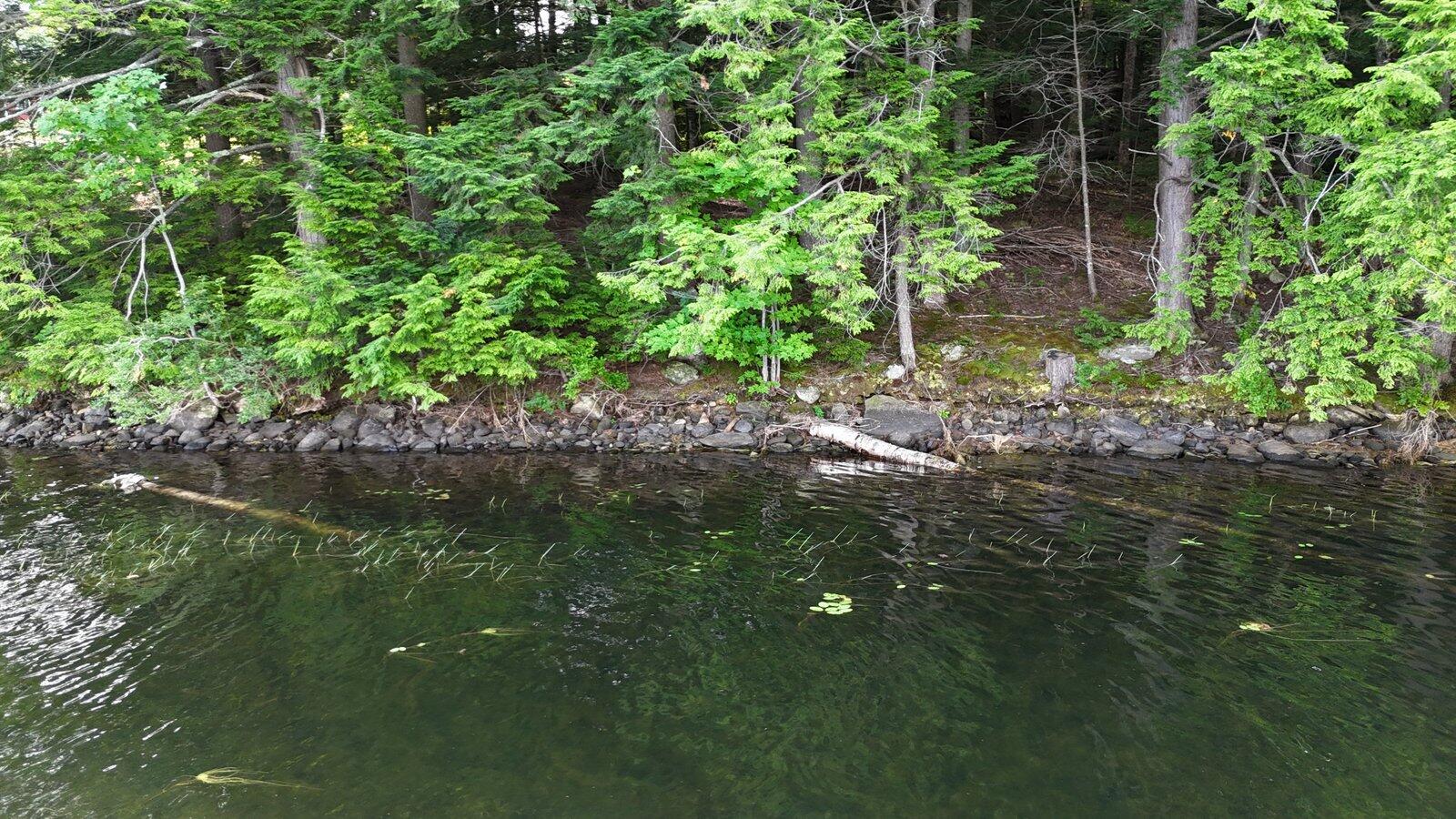 6 Lake Road Wilton, ME 04294 - Photo 16 of 60 11-DJI_20260824093518_0032_D