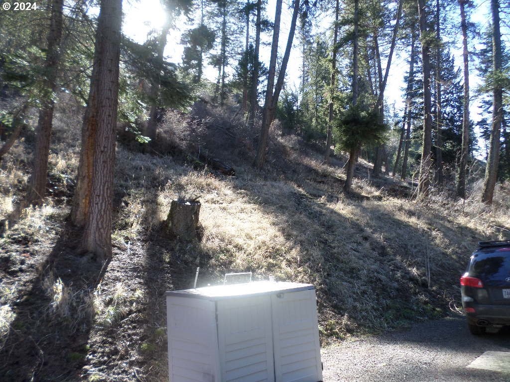 59931 River Canyon Road Imnaha, OR 97842 - Photo 17 of 19