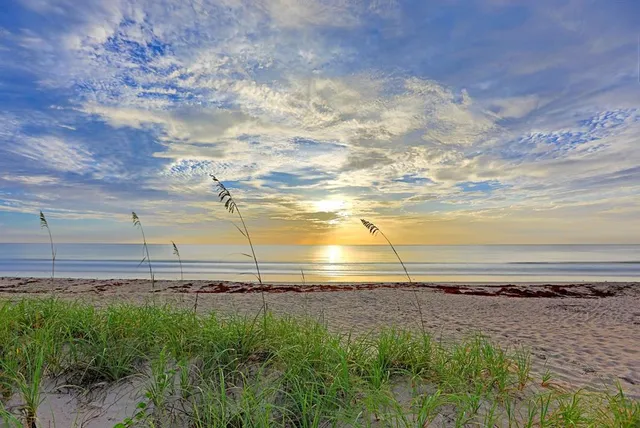 a view of room with wooden floor and a window