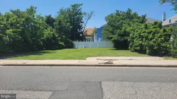 a view of street and trees in the background