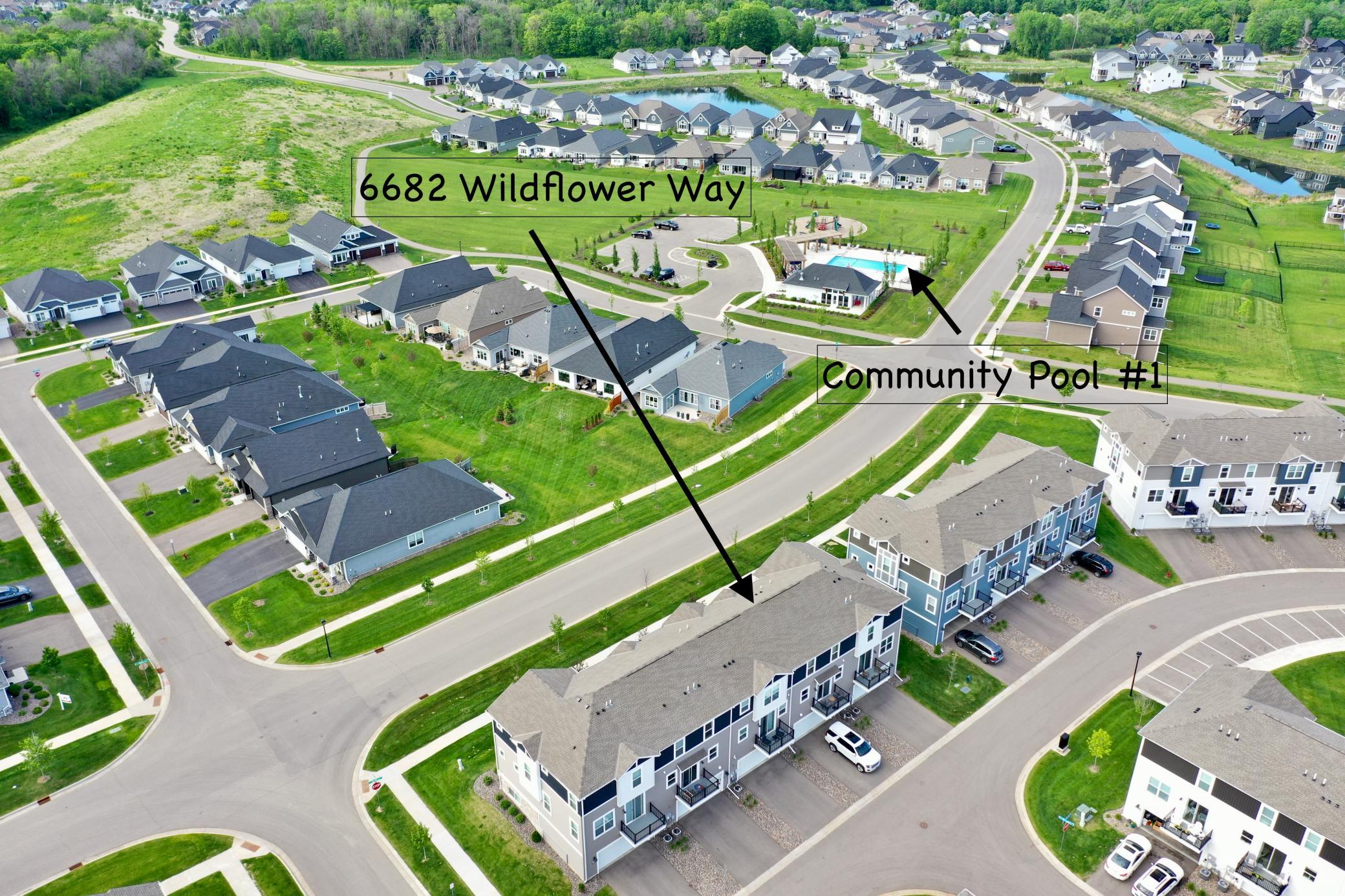 6682 Wildflower Way Minnetrista, MN 55331 - Photo 45 of 55