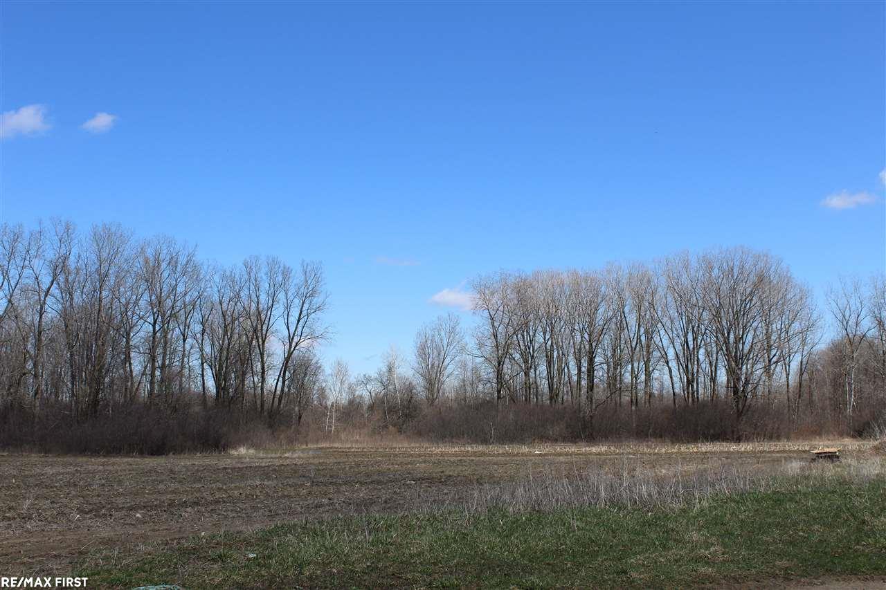 0 Connell Road Yale, MI 48097 - Photo 8 of 22