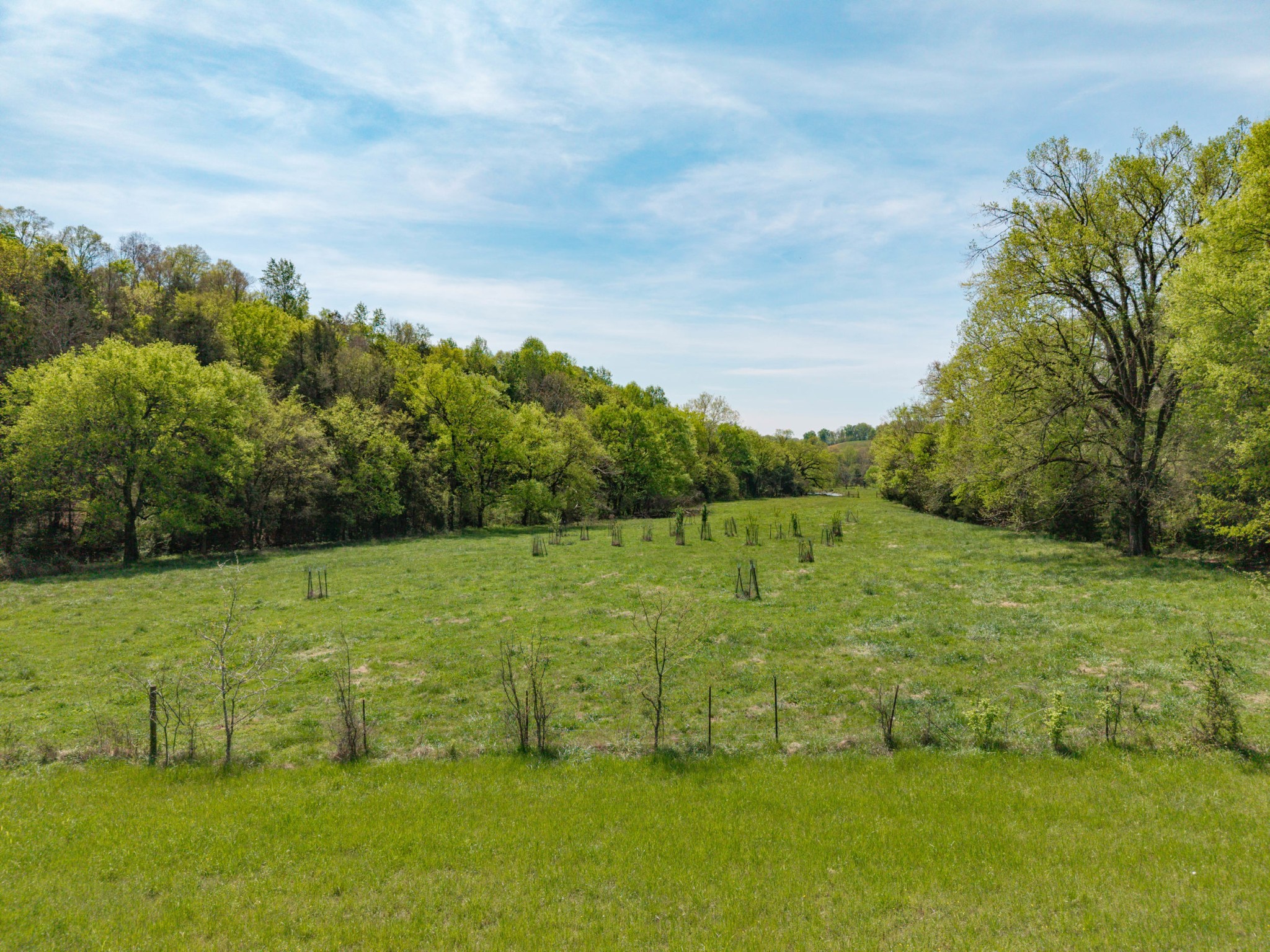 305 Ingram Road Pulaski, TN 38478 - Photo 12 of 29