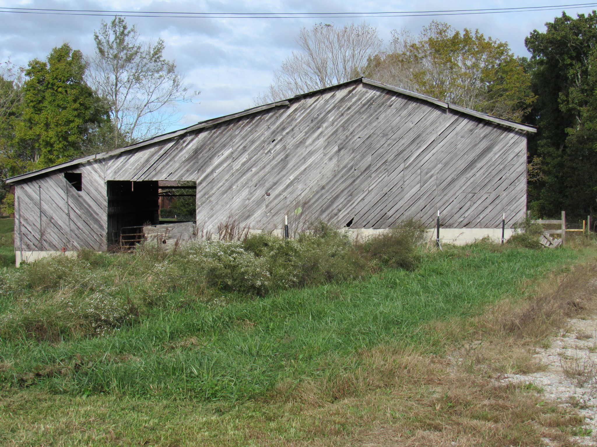 192 Meister Hills Road Deer Lodge, TN 37726 - Photo 22 of 40