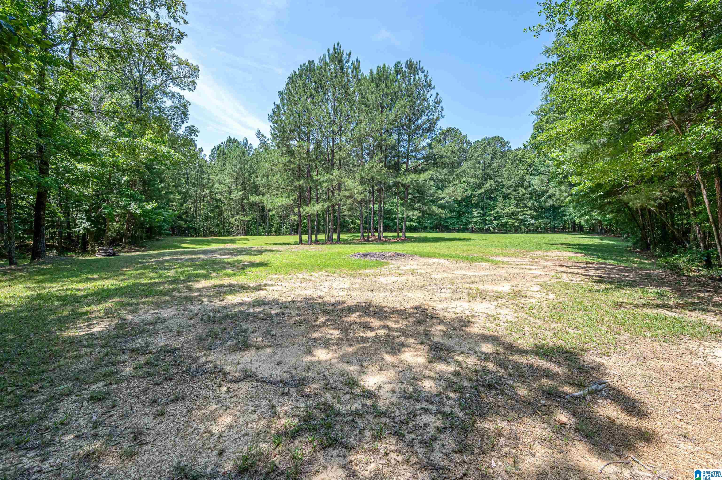 290 Baron Drive Chelsea, AL 35043 - Photo 49 of 59