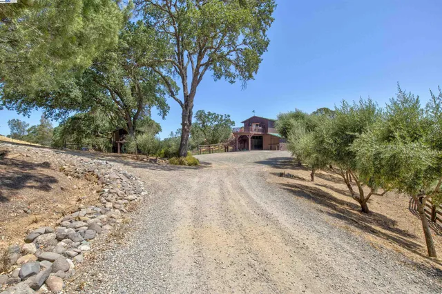a view of road with with large trees