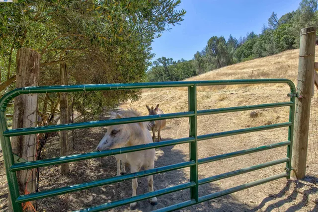 a view of swimming pool with a yard
