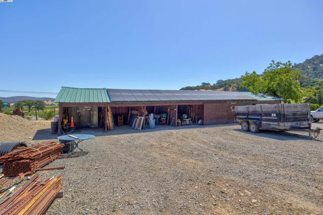 a view of a tree in the middle of a yard
