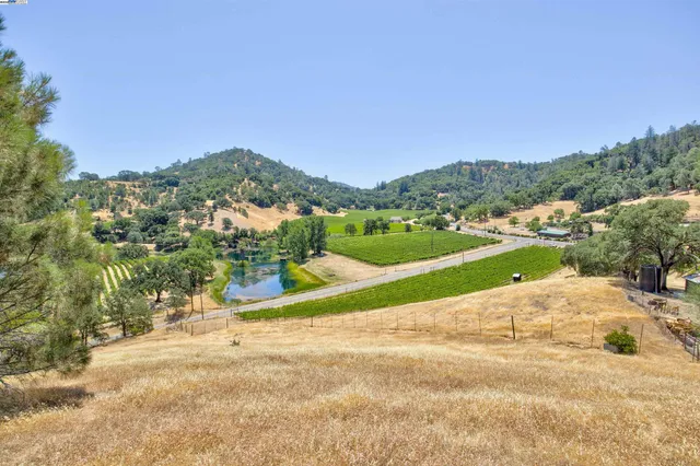 a view of a city with lush green space