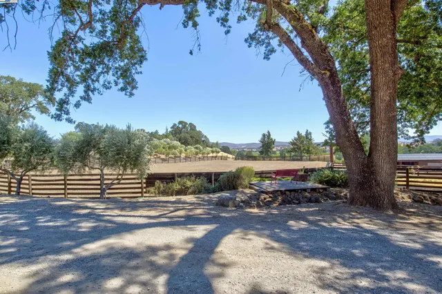 a view of a patio with table and chairs potted plants and a large tree
