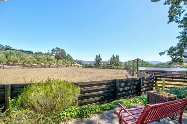 a view of a swimming pool with outdoor seating and plants