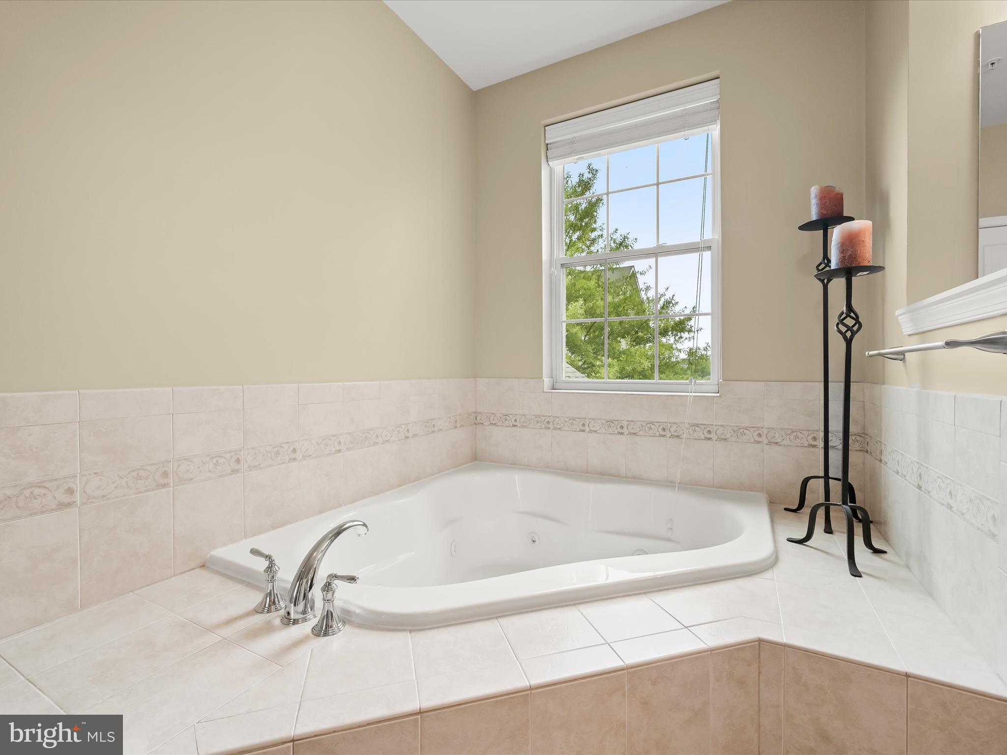 5769 Richards Valley Road Ellicott City, MD 21043 - Photo 43 of 76 Soaking tub