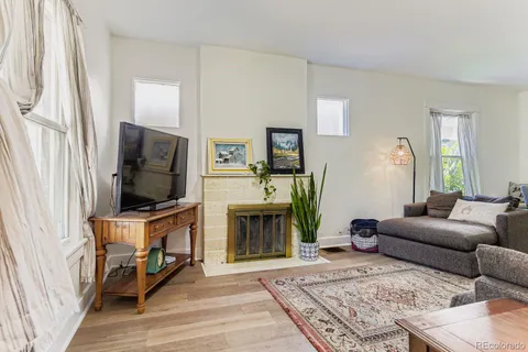 a living room with furniture a couch and a potted plant