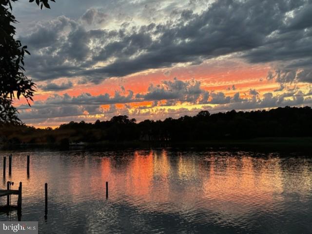 1124 Riverside Drive Salisbury, MD 21801 - Photo 49 of 83 True photos of what you will see!!