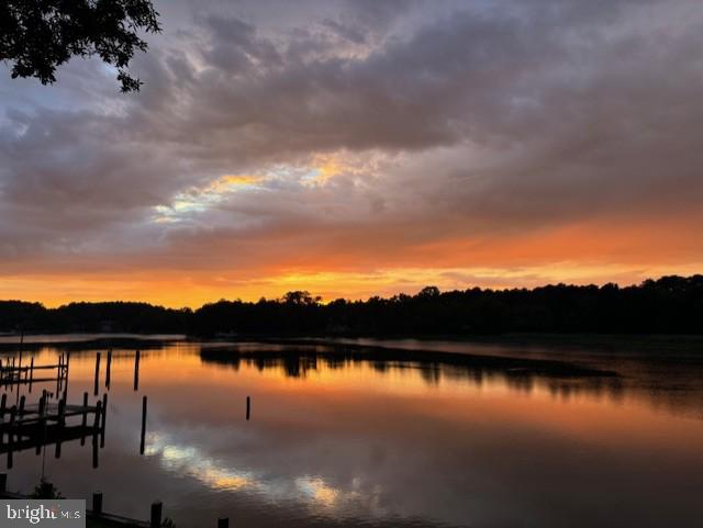 1124 Riverside Drive Salisbury, MD 21801 - Photo 81 of 83