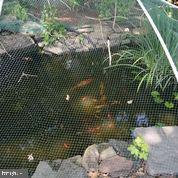 33791 Bay Ridge Lane Lewes, DE 19958 - Photo 51 of 64 Private Stocked Pond for Your Enjoyment!